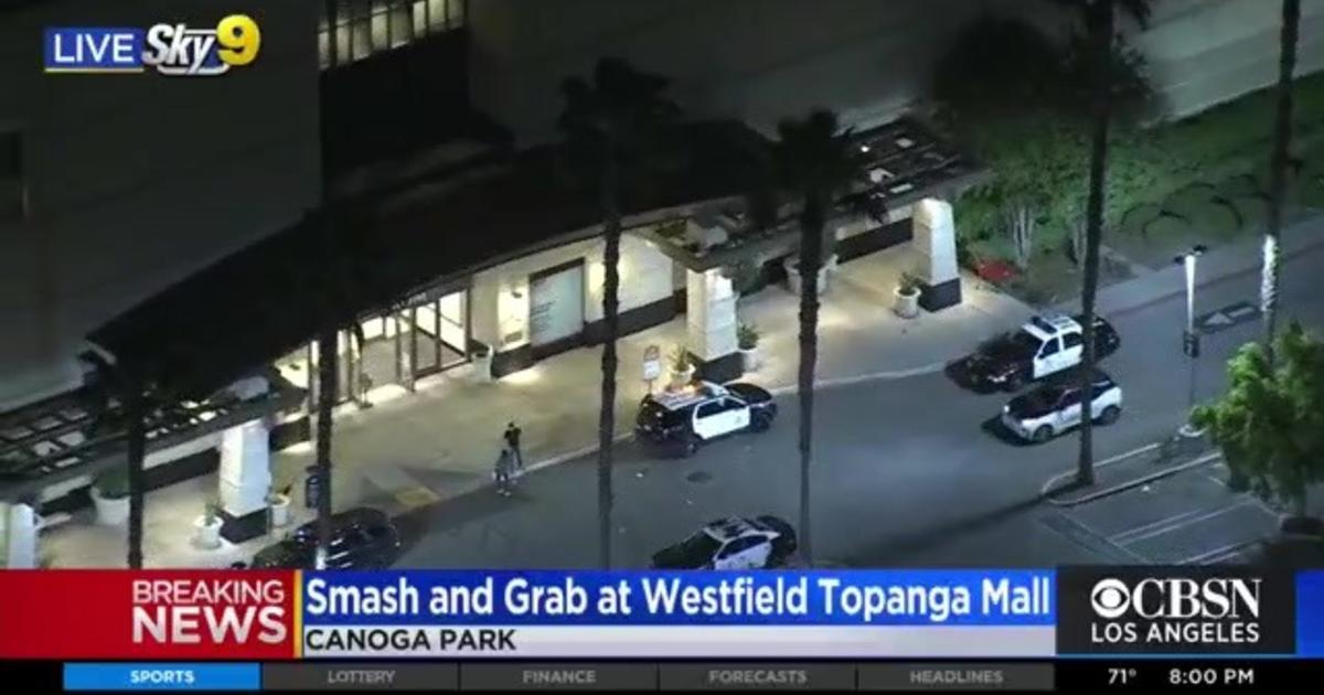 Dozens of smash and grab robbers hit a Nordstrom in LA on Saturday