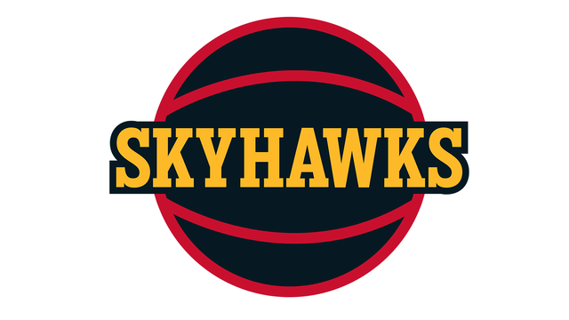 skyhawks-logo2.png 