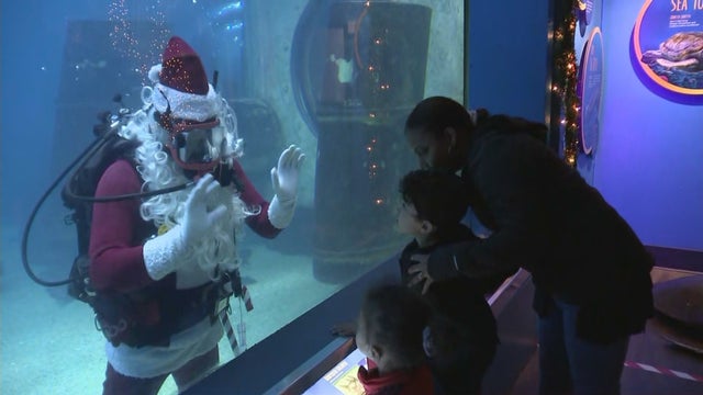 lns-santa-scuba-diving-sensory-friendly-advanture-aquarium-120521_frame_3839.jpg 