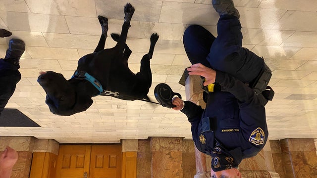 capitol-sniffing-dogs.jpg 
