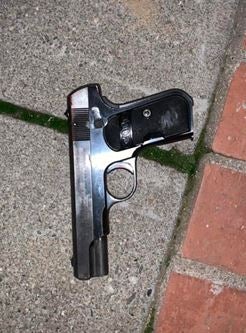 hundgun 