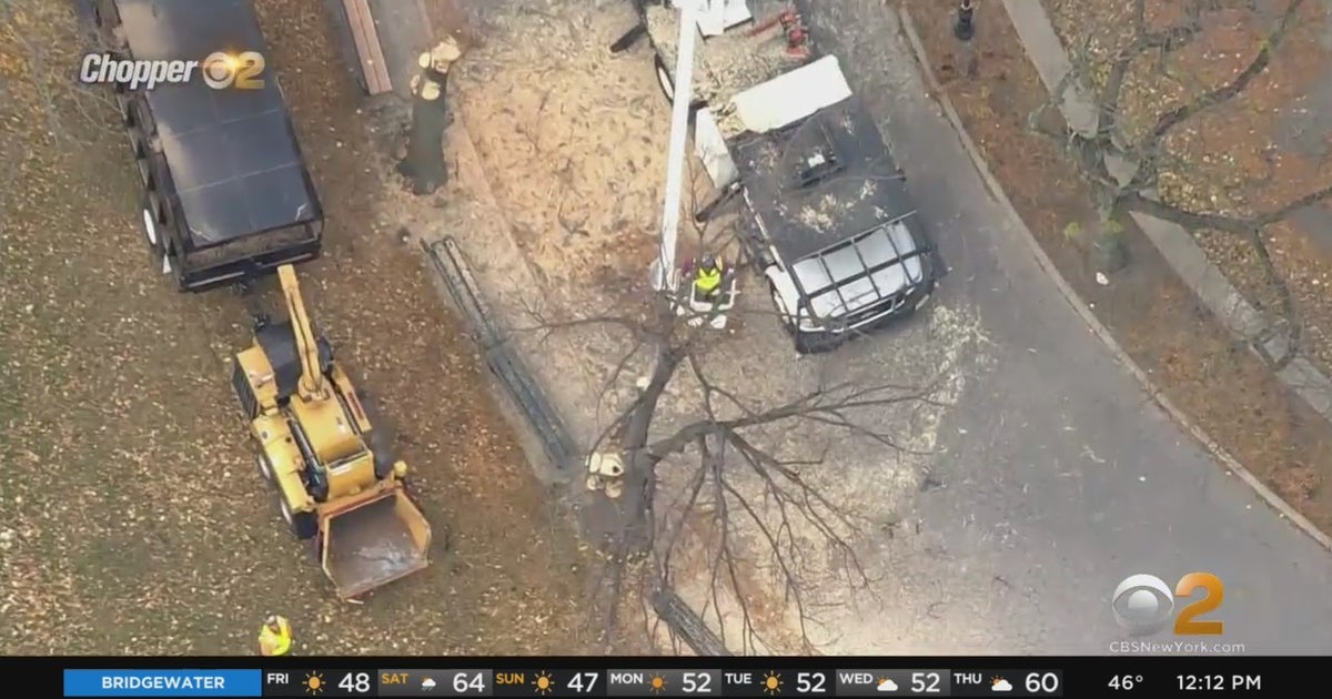 Trees Cut At East River Park Amid Judge's Partial Stop Work Order CBS New York
