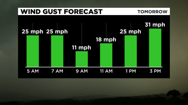 Wind Gust Forecast 