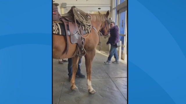 PLYMOUTH-WALMART-HORSE.jpg 