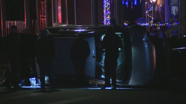 lns-fox-2am_frame_172974.jpg 