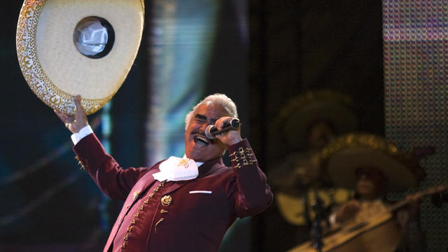 VICENTE FERNANDEZ 