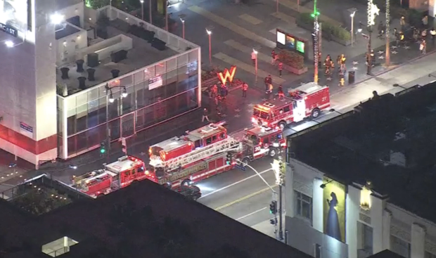 Screen Shot 2021-12-12 at 9.13.03 PM 