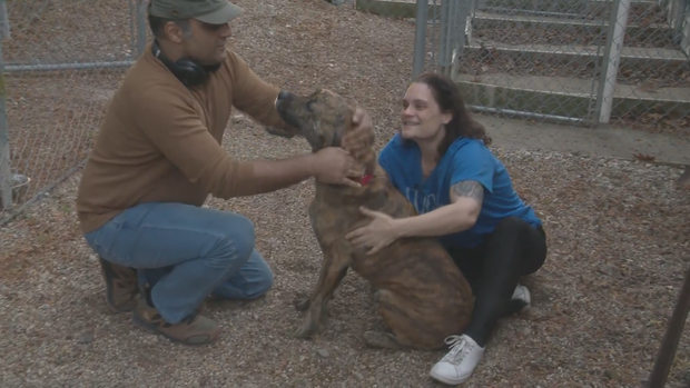 Jennifer Hysell and her husband reunited with their dog, Parker.