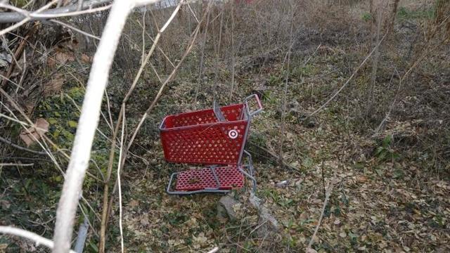 shopping-cart.jpg 