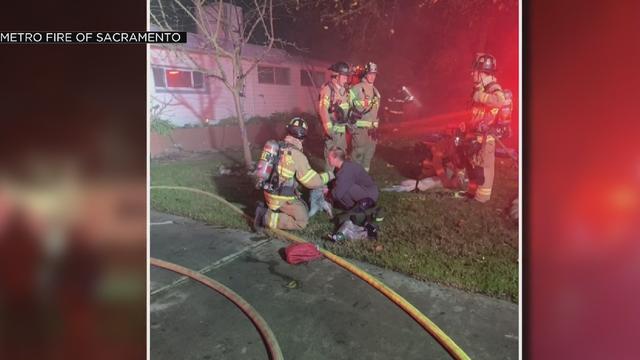 metro-fire-dogs-rescued.jpg 