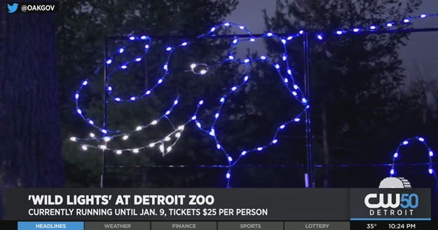 In The Holiday Spirit? 'Wild Lights At The Detroit Zoo' Opened For