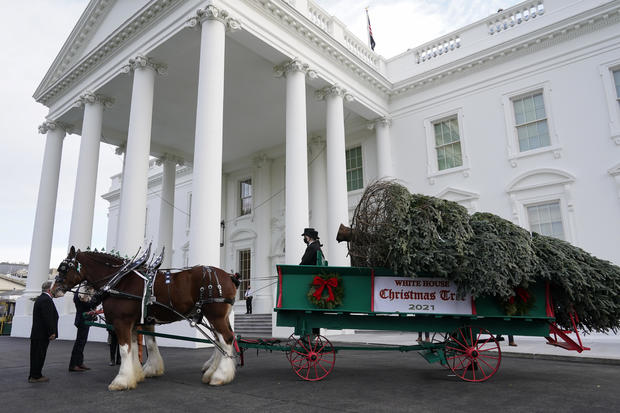 White House Christmas tree delivered 
