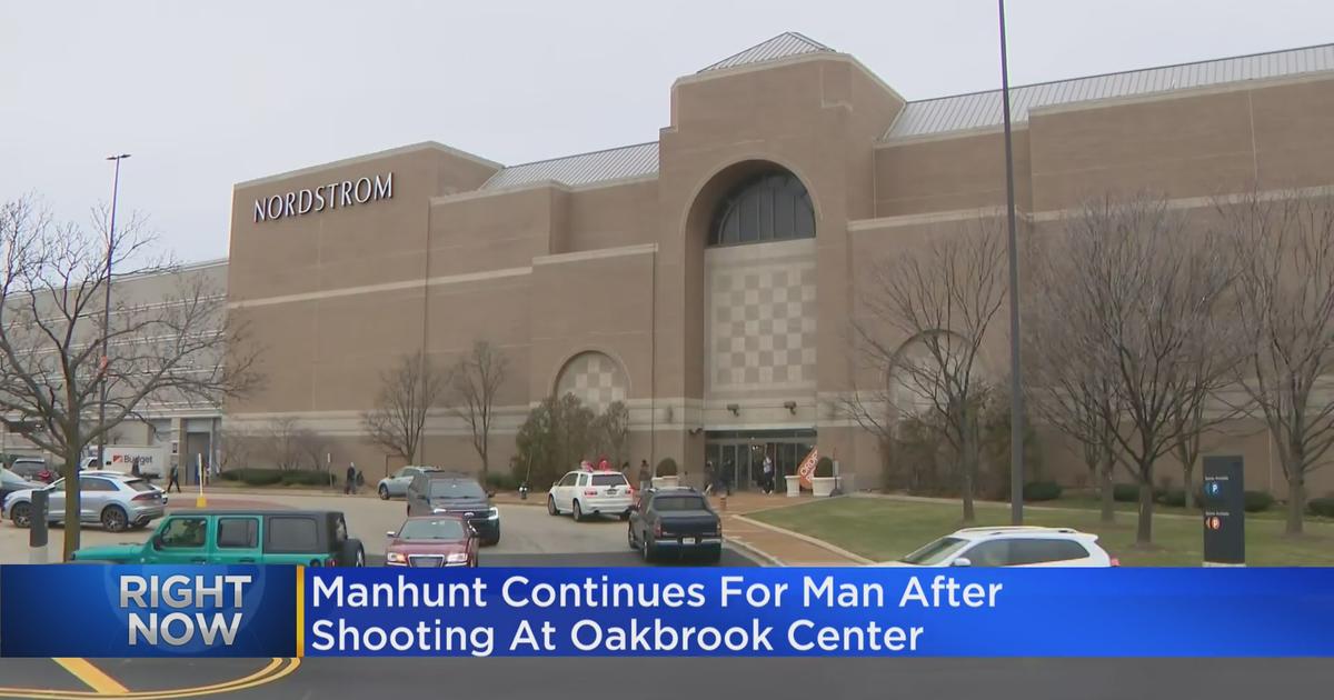 oak brook mall robbery