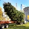 1225-cbsm-bostontree-chen-862661-640x360.jpg 