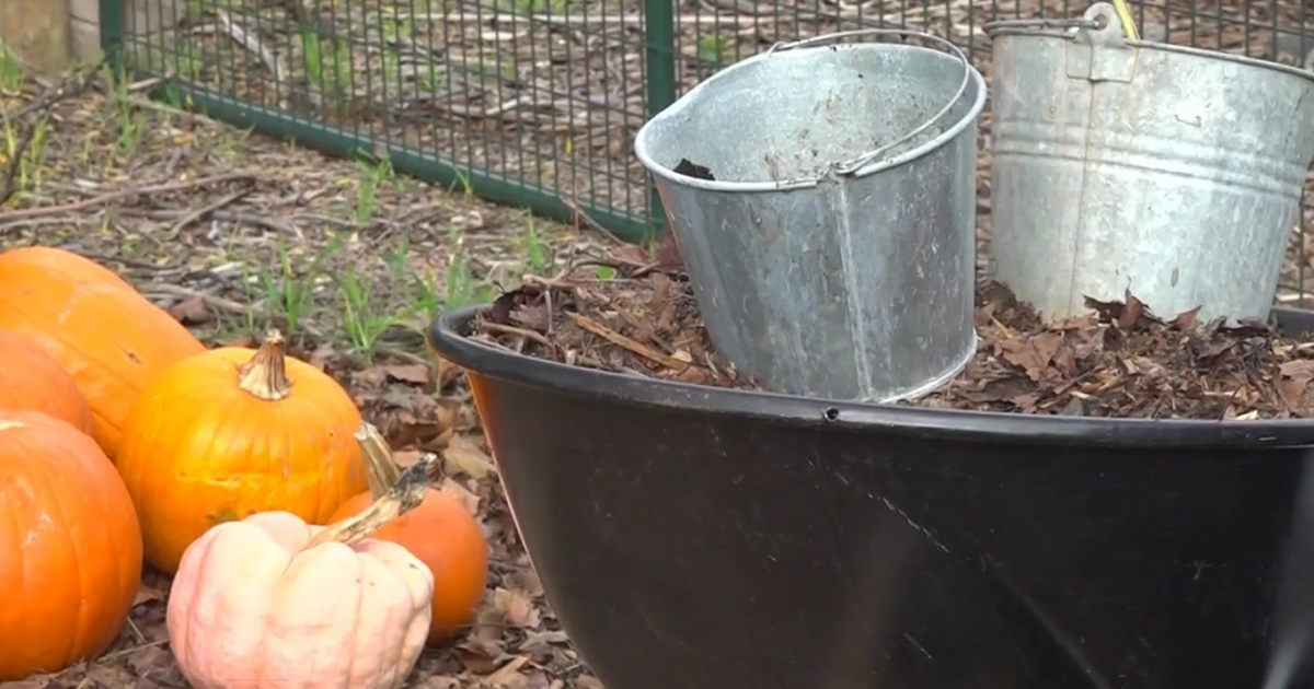 New Law Goes Into Effect In 2022 To Reduce Organic Waste By 75 Percent