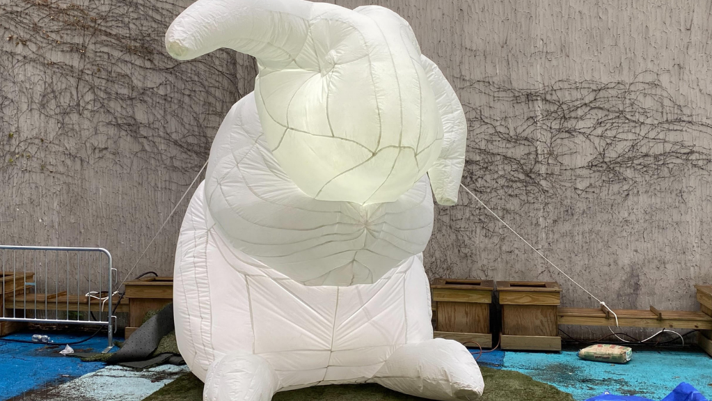 intrude-baby-rabbits-2 