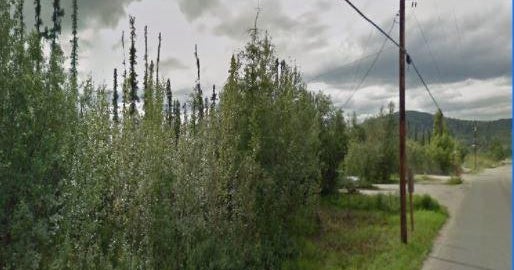 Newborn baby found abandoned in a cardboard box with a note on a frigid ...