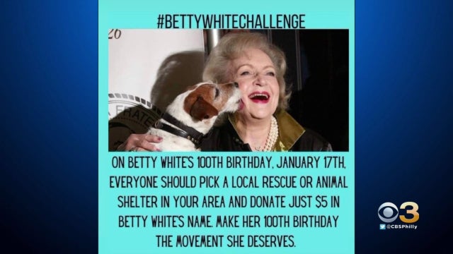 betty-white-challenge.jpeg 