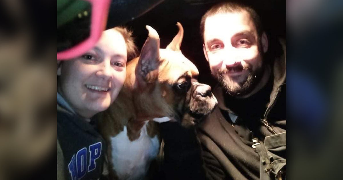 St. Paul Family Use Sleuth Skills To Find Missing Show Dog In Stolen ...
