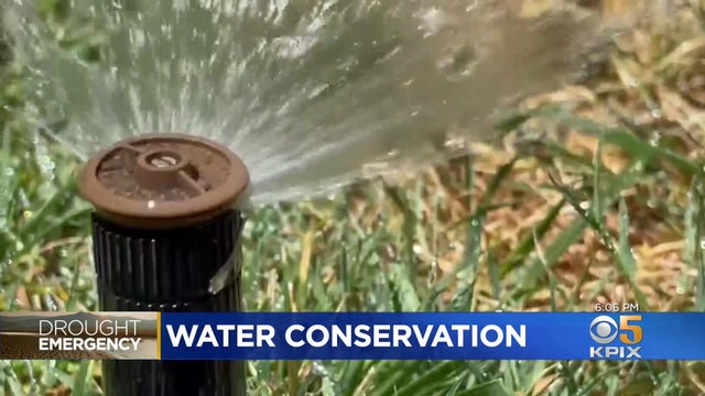 Water-conservation.jpg 