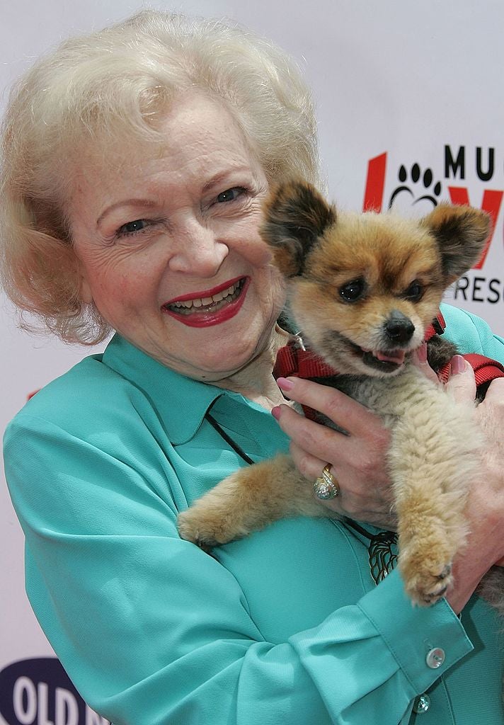 Betty White Challenge Encourages 5 Donations For Local Animal Shelters In Honor Of Late