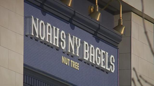 noahs-bagels.jpeg 