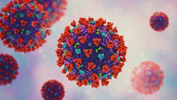 OMICRON DECLINE 6PKG.transfer_frame_1912 