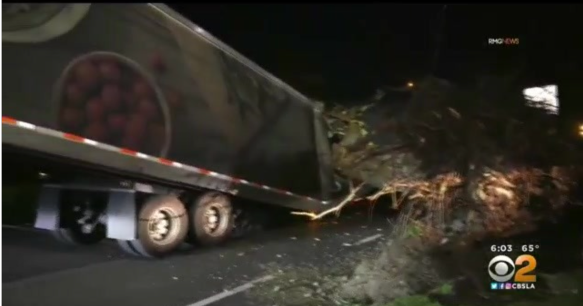 High Winds Topple Trees, Down Power Lines And Block Roads In Some ...