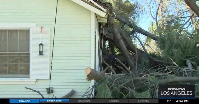 Crews Cleanup Wild Wind Damage In Claremont CBS Los Angeles