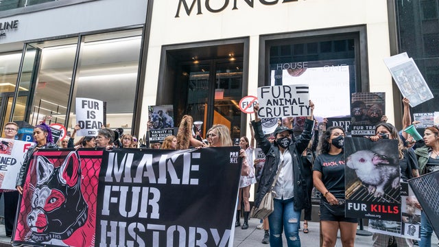 Animal rights activists gathered on Grand Army Plaza and 