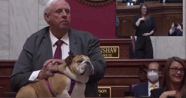 West Virginia governor flashes his dog's rear end to legislators and