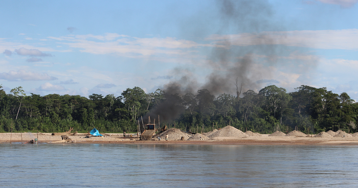 Illegal gold mining causing record mercury levels in Peruvian ...