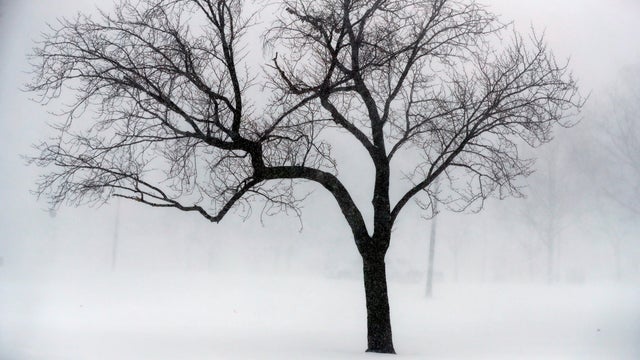 Winter Weather Massachusetts 