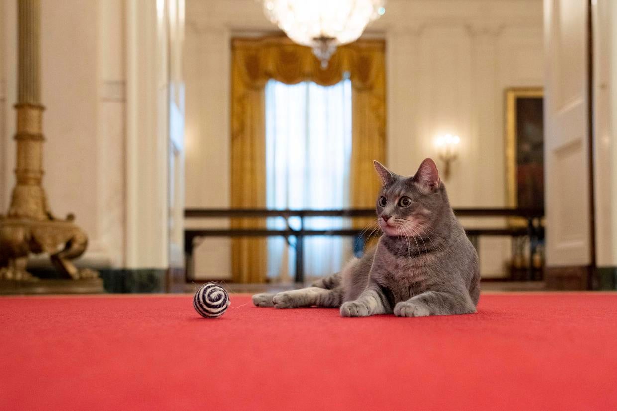 white-house-pets-from-adorable-to-very-weird