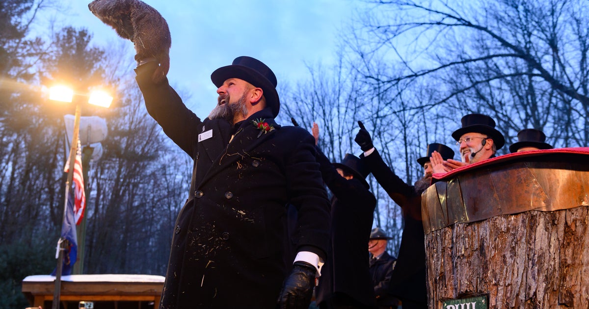 Groundhog Day 2022 Punxsutawney Phil Predicts Six More Weeks Of Winter