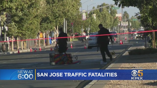 pedestrian-deaths-sj.jpg 