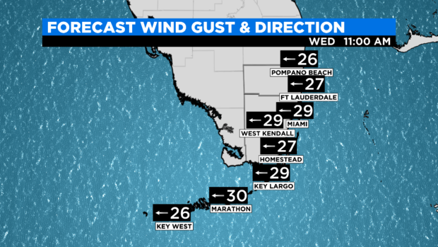 SFL KEYS Model Wind Gust and Direction 