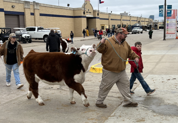 Fort Worth Stock Show & Rodeo