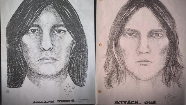 Yogurt shop suspect sketches