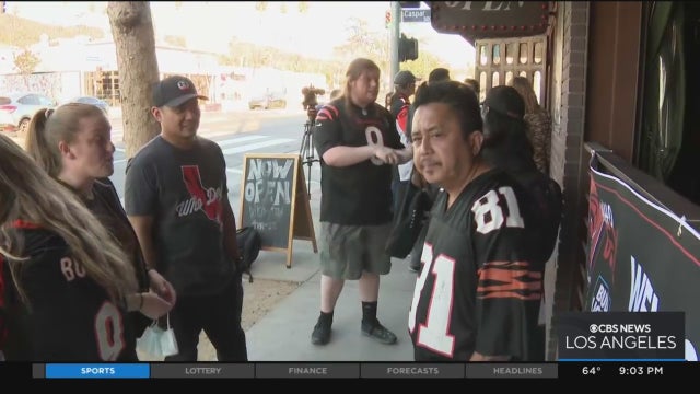 Bengals-Fans-LA.jpeg 