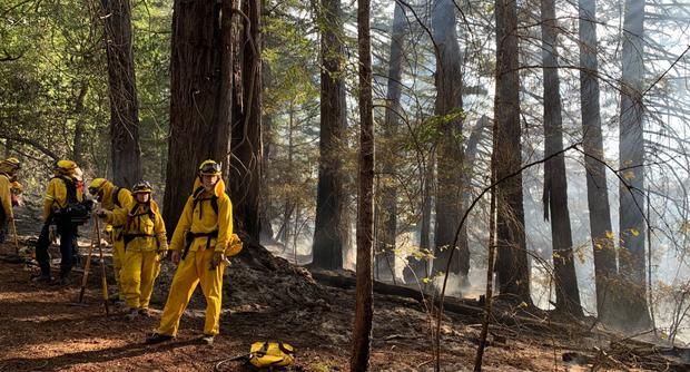 Marin Wildfire  Marin County Sheriff Photo 