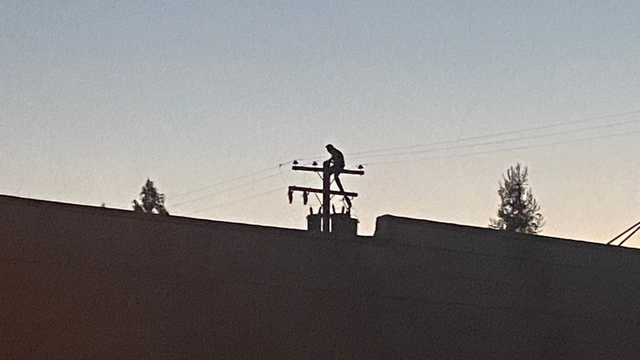 man-on-power-pole.png 