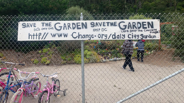Daly-City-Garden.jpg 