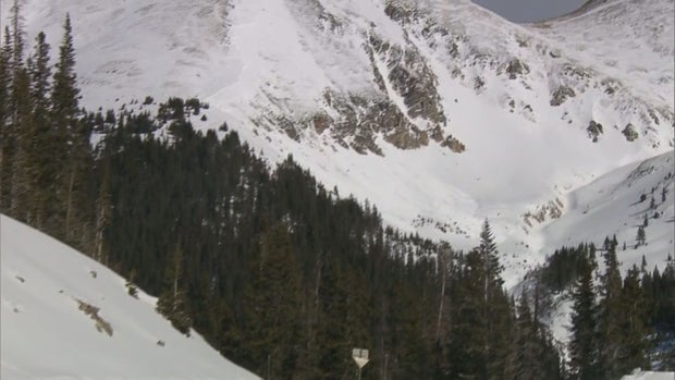 AVALANCHE LOOK LIVE.transfer_frame_145