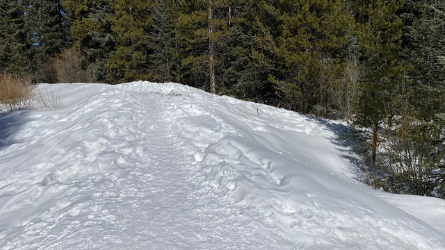 Reporter and Kind Stranger Track Down Texas Woman's Lost Engagement Ring in  Colorado Snowdrift