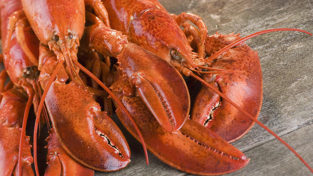 lobster-maine.jpg 