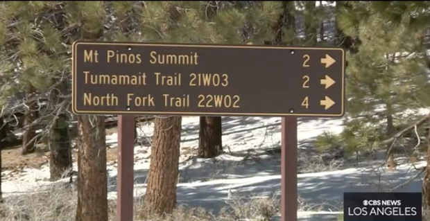 Mt Pinos trail 