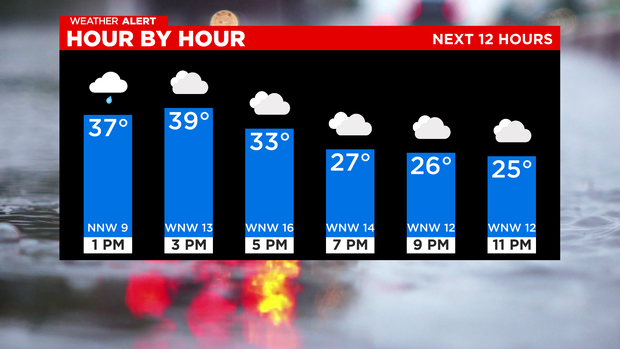 Bar Graph Next 12 Hours 