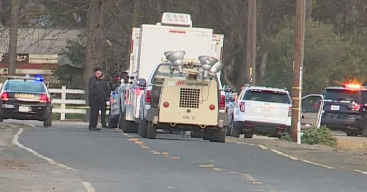 Sheriff: Sacramento Woman, 54, Who Rammed Police Patrol Car In Stockton ...