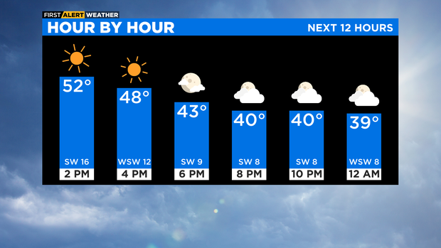 Bar Graph Next 12 Hours 